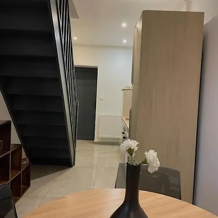 Apartment Paisible Duplexe Sur D Ascq